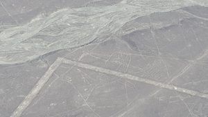 Ballena de Nazca