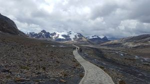 Trekking Pastoruri